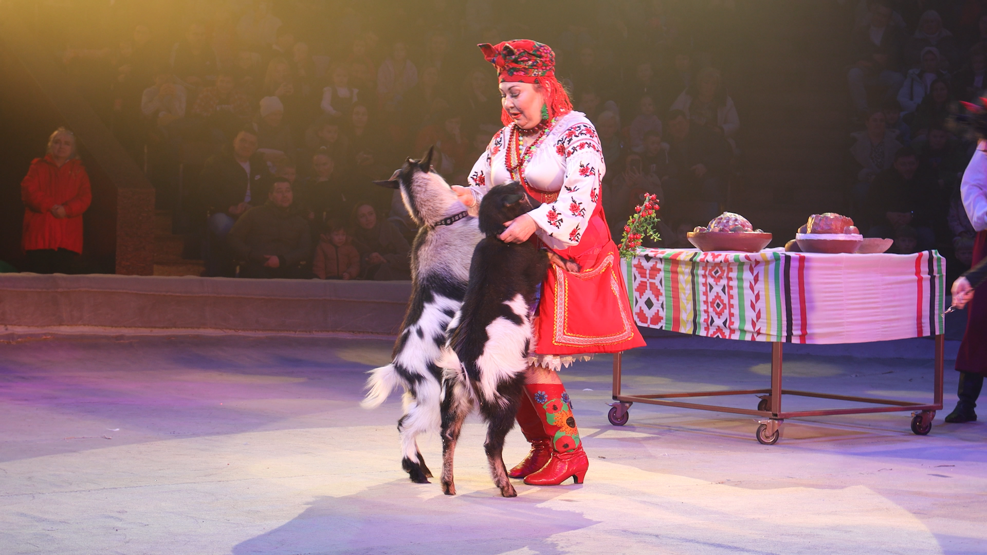 Без клоунів, але із тваринами: чим живе цирк сьогодні – інтерв'ю з директором